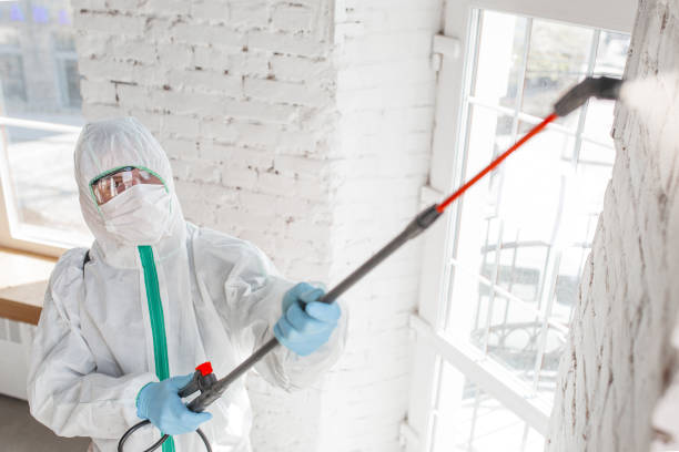 Best Industrial Mold Remediation  in Woody, WA