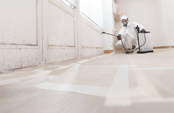 Best Mold Odor Removal Services  in Woody, WA