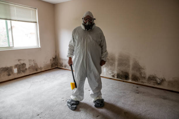 Reliable Woodway, WA Mold Inspection, Removal & Remediation Solutions